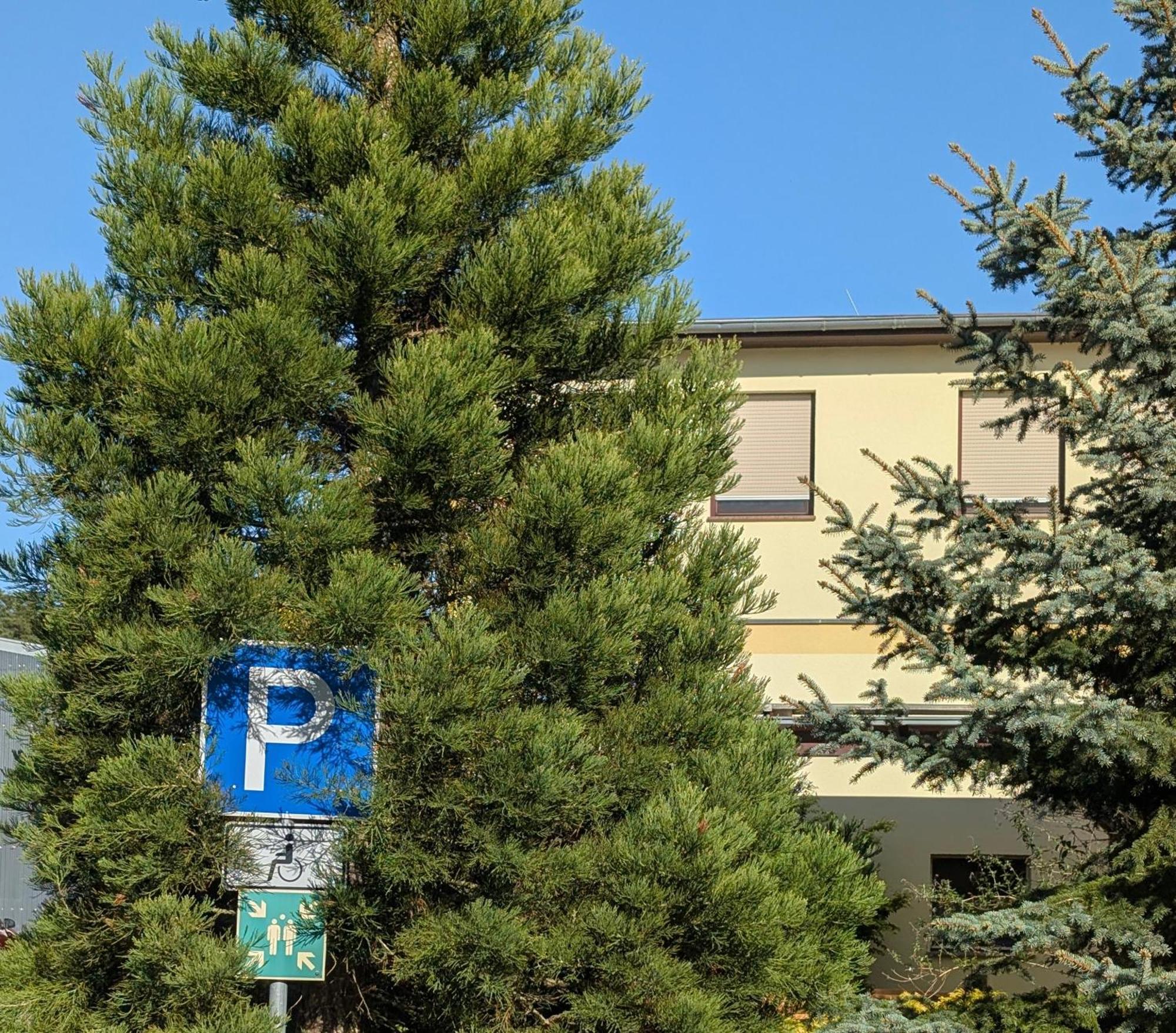 Pension Zum Reiterhof, Fewo 2 Schmogrow エクステリア 写真