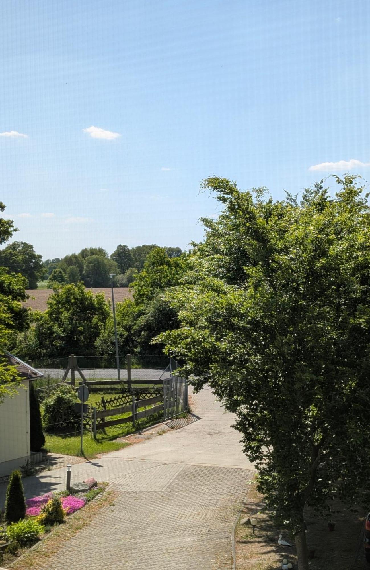 Pension Zum Reiterhof, Fewo 2 Schmogrow エクステリア 写真