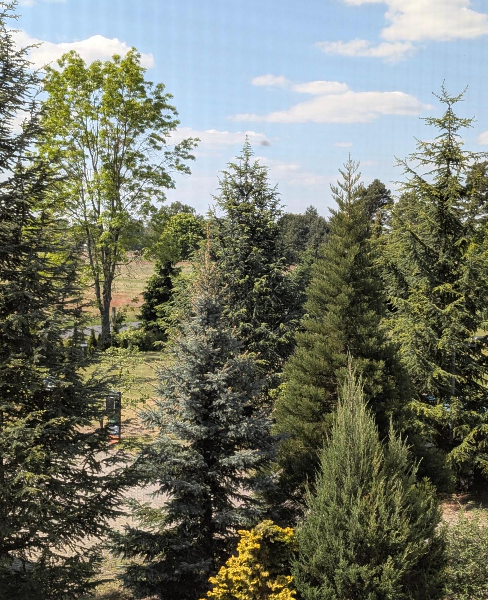 Pension Zum Reiterhof, Fewo 2 Schmogrow エクステリア 写真